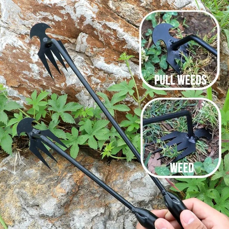 أداة يدوية 2 في 1 للحدائق: مشط - مراجعة Gardening Tools Spade وسعره