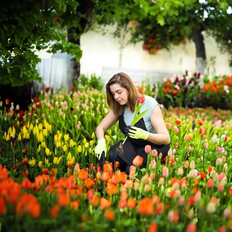 أداة يدوية 2 في 1 للحدائق: مشط - مراجعة Gardening Tools Spade وسعره