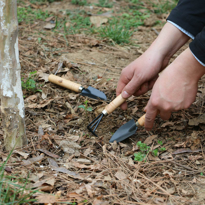 3 قطعة/المجموعة حديقة صغيرة أد - مراجعة Gardening Tools For Weeds وسعره