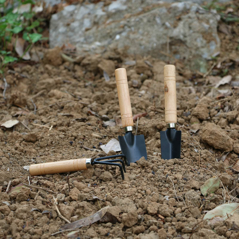 3 قطعة/المجموعة حديقة صغيرة أد - مراجعة Gardening Tools For Weeds وسعره