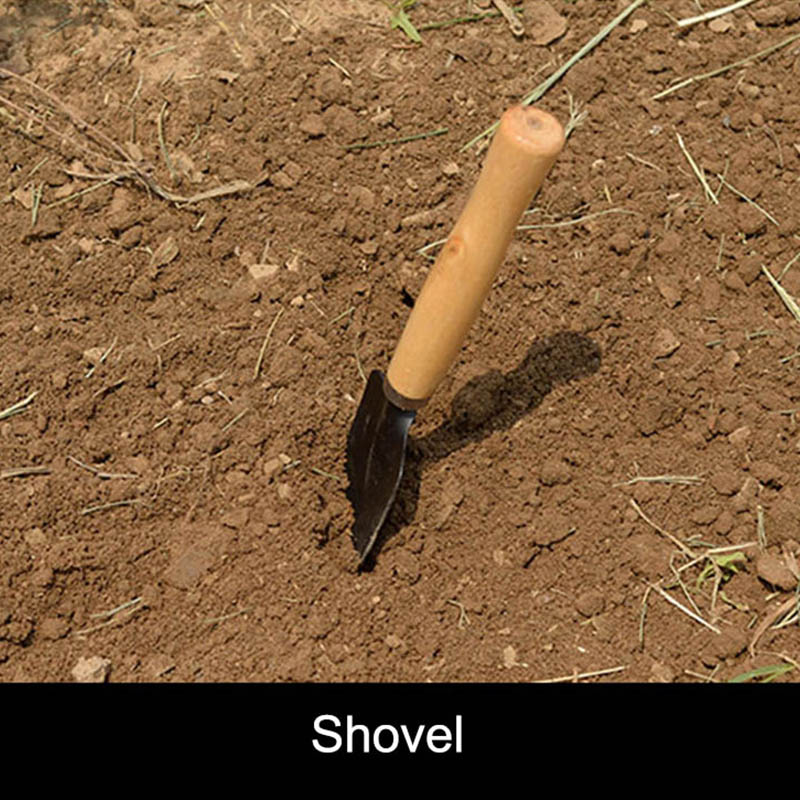 3 قطعة/المجموعة حديقة صغيرة أد - مراجعة Gardening Tools For Weeds وسعره