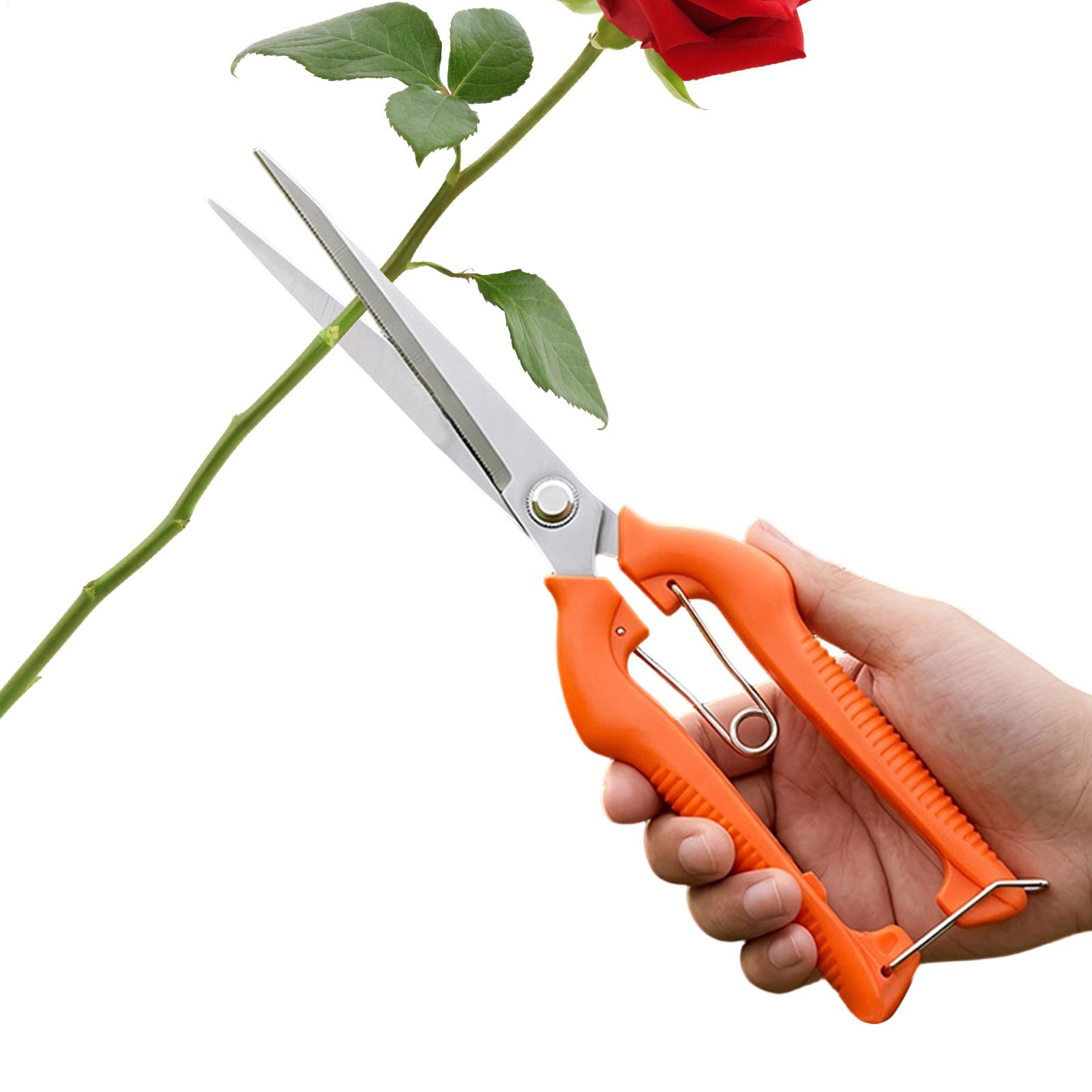 مقص تقليم العنب، أداة حديقة، م - مراجعة Gardening Tools Women وسعره