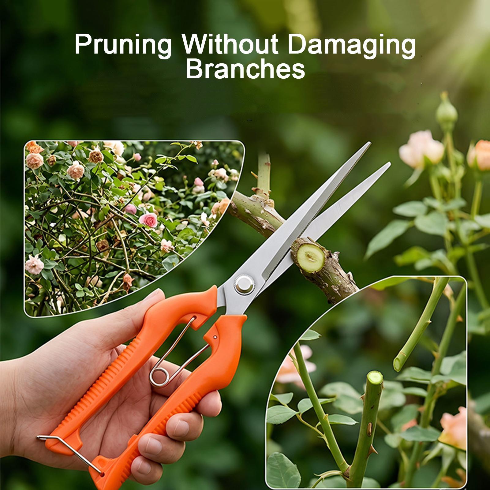 مقص تقليم العنب، أداة حديقة، م - مراجعة Gardening Tools Women وسعره