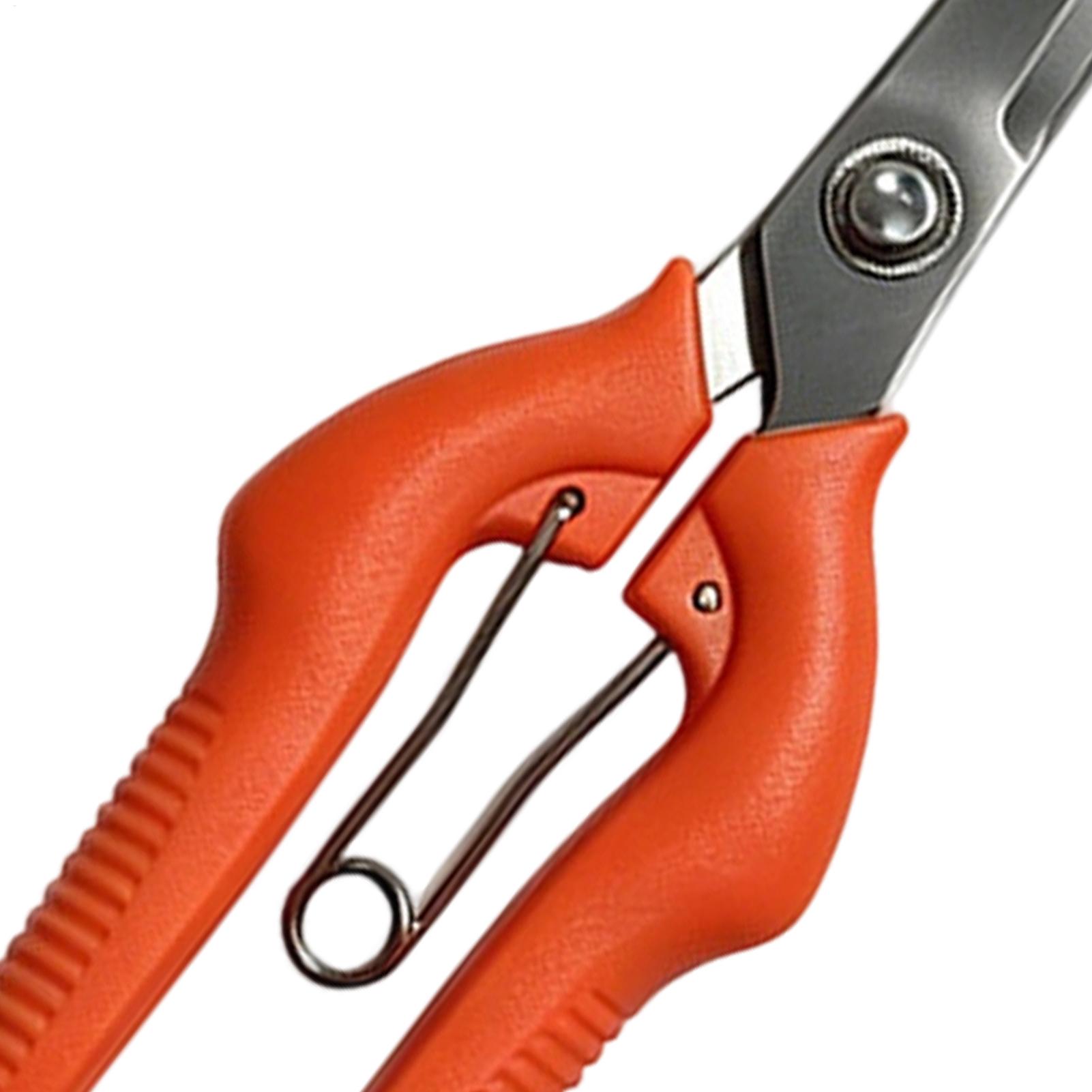 مقص تقليم العنب، أداة حديقة، م - مراجعة Gardening Tools Women وسعره