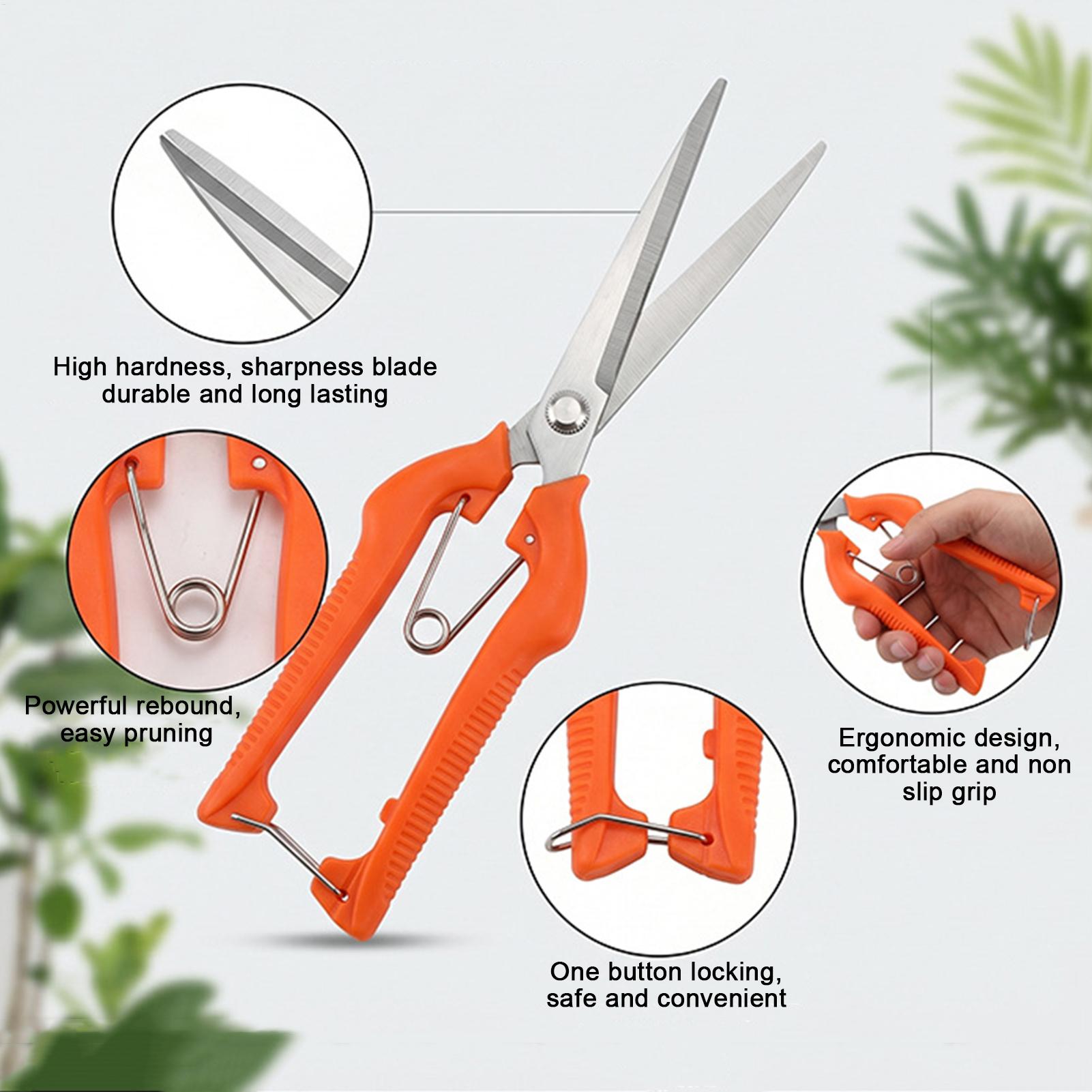 مقص تقليم العنب، أداة حديقة، م - مراجعة Gardening Tools Women وسعره