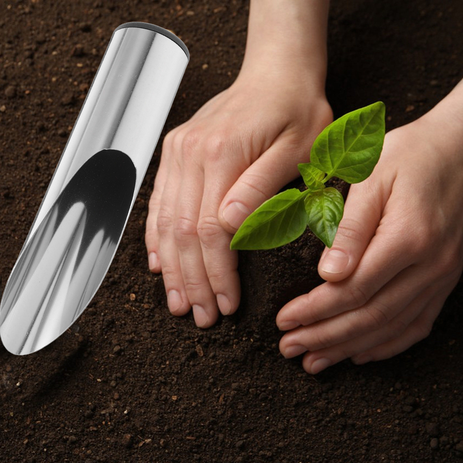 مجرفة حديقة من الفولاذ المقاوم - مراجعة Gardening Tools Spade وسعره