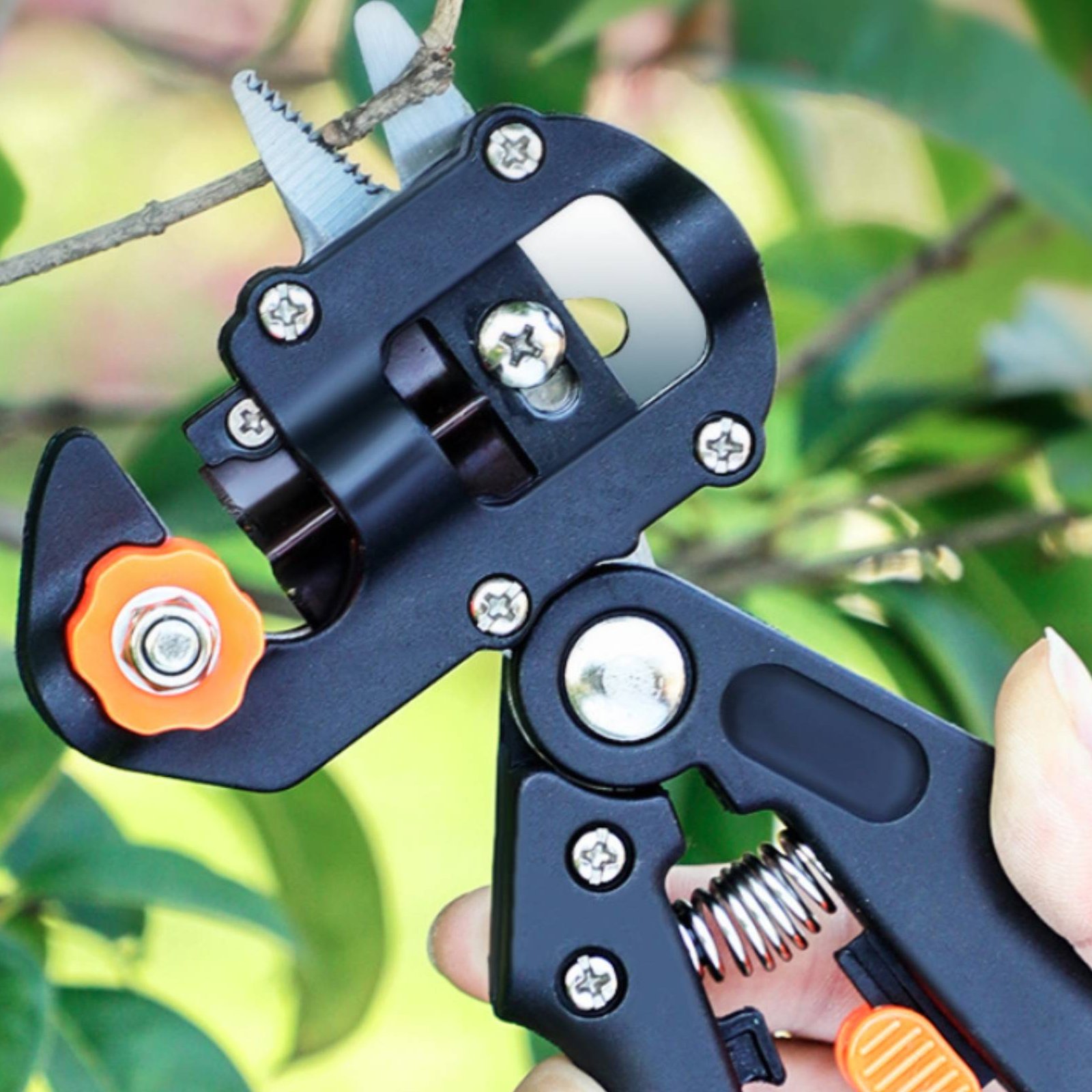 مقص تقليم وتلقيح 2 في 1 لأشجار - مراجعة Pruning Shears وسعره