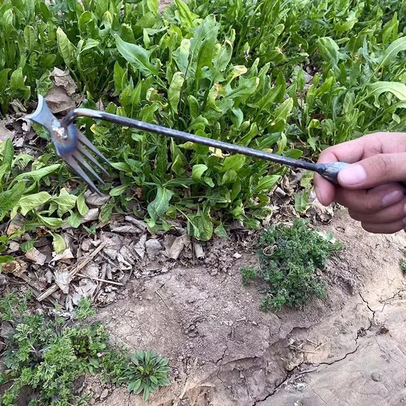 أداة إزالة الأعشاب الضارة اليد - مراجعة Gardening Tools For Weeds وسعره