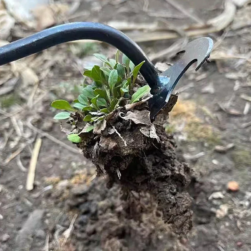 أداة إزالة الأعشاب الضارة اليد - مراجعة Gardening Tools For Weeds وسعره