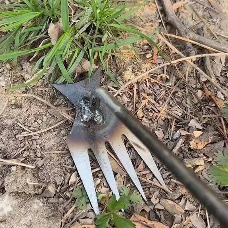 أداة إزالة الأعشاب الضارة اليد - مراجعة Gardening Tools For Weeds وسعره