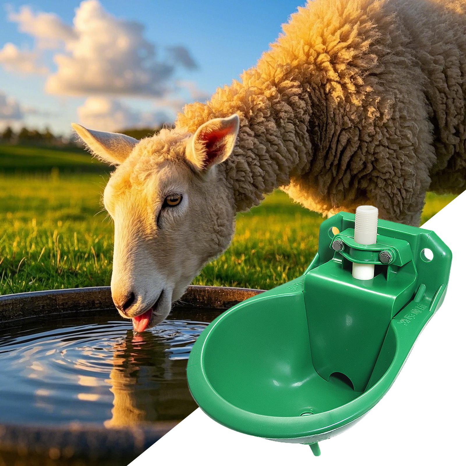 وعاء شرب ماء للخيول مع صمام نح - مراجعة Gardening Tools Women وسعره