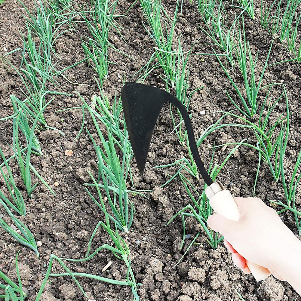 مجرفة زراعية منزلية مجرفة مثلث - مراجعة Gardening Tools For Weeds وسعره