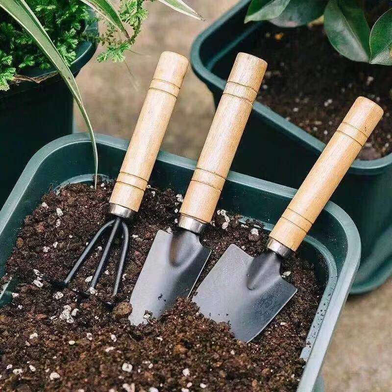 3 قطعة/1 مجموعة أدوات البستنة  - مراجعة Gardening Tools Spade وسعره