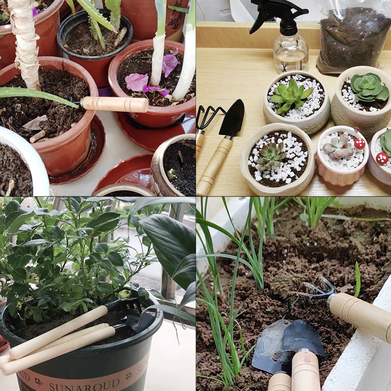 3 قطعة/1 مجموعة أدوات البستنة  - مراجعة Gardening Tools Spade وسعره