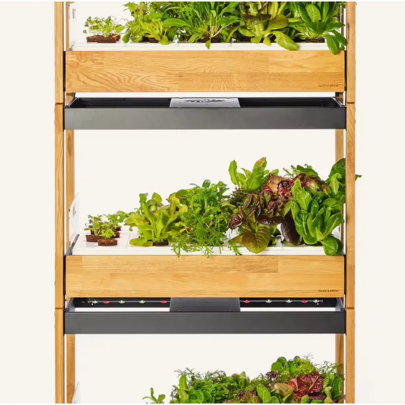 عرض خاص: مجموعة زراعة الخضروات - مراجعة Gardening Tools Kit For Sale وسعره