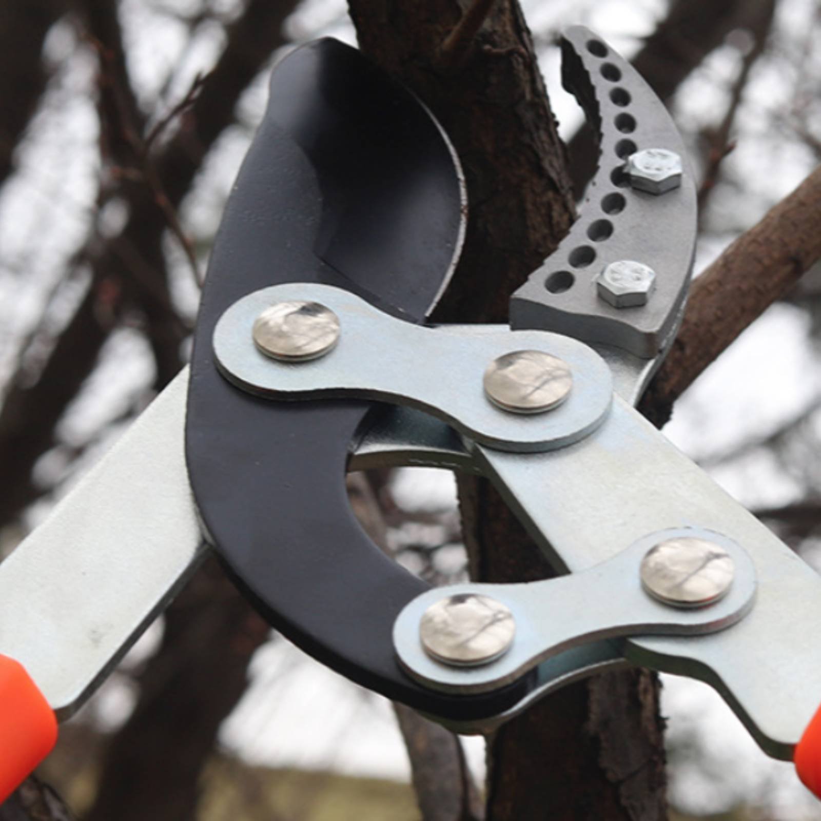 مقصات تقليم الأغصان التلسكوبية - مراجعة Pruning Shears وسعره