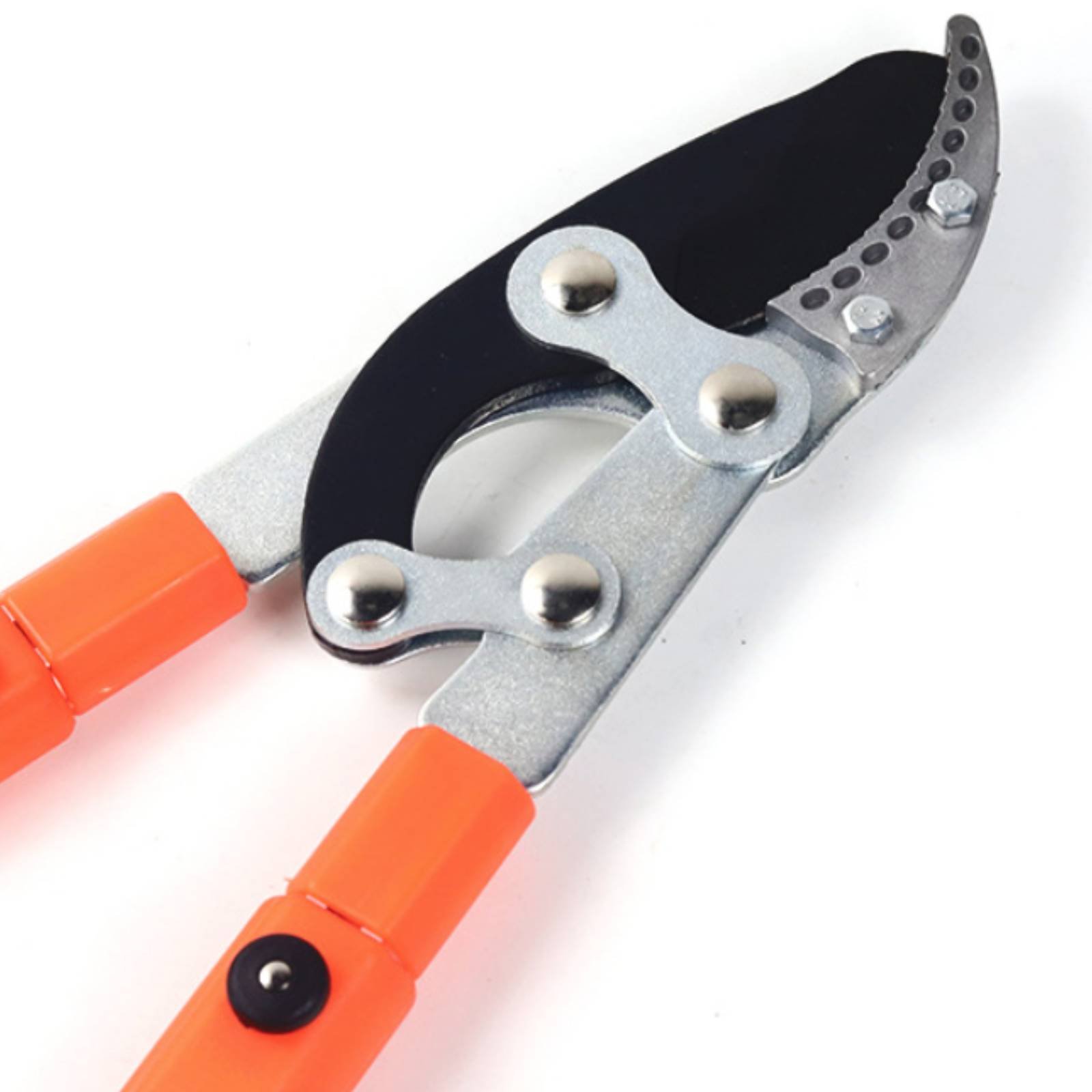 مقصات تقليم الأغصان التلسكوبية - مراجعة Pruning Shears وسعره
