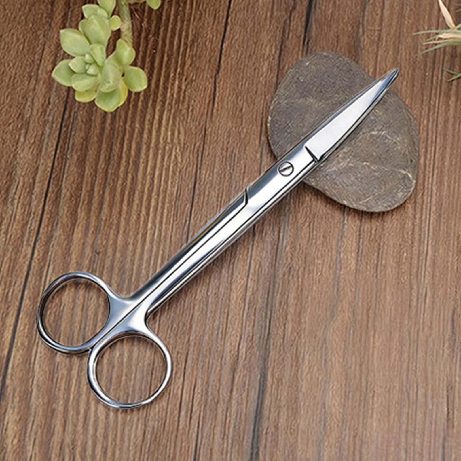 مقصات تقليم النباتات من الفولا - مراجعة Pruning Shears وسعره