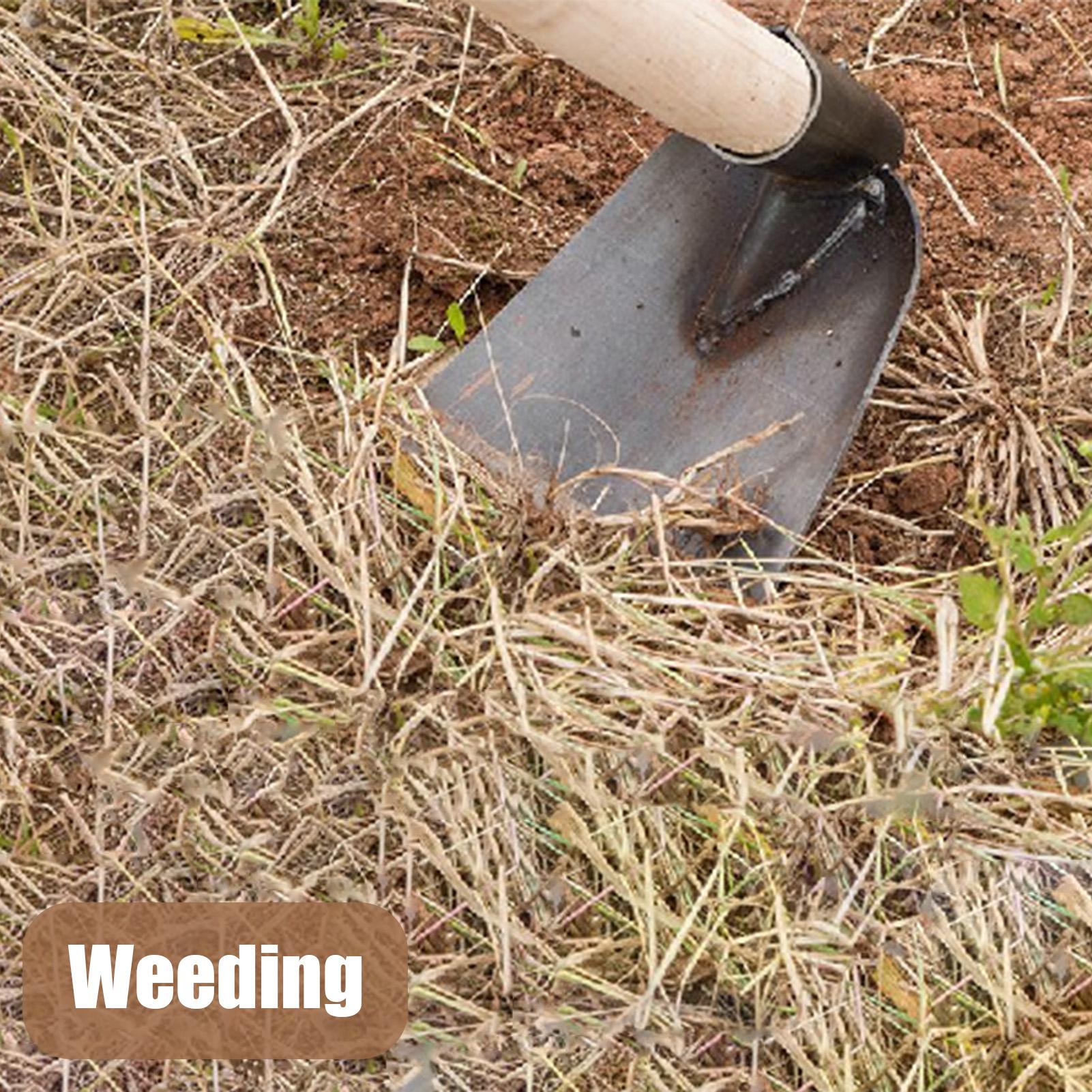 مجرفة من الفولاذ المنغنيزي للح - مراجعة Gardening Tools Women وسعره