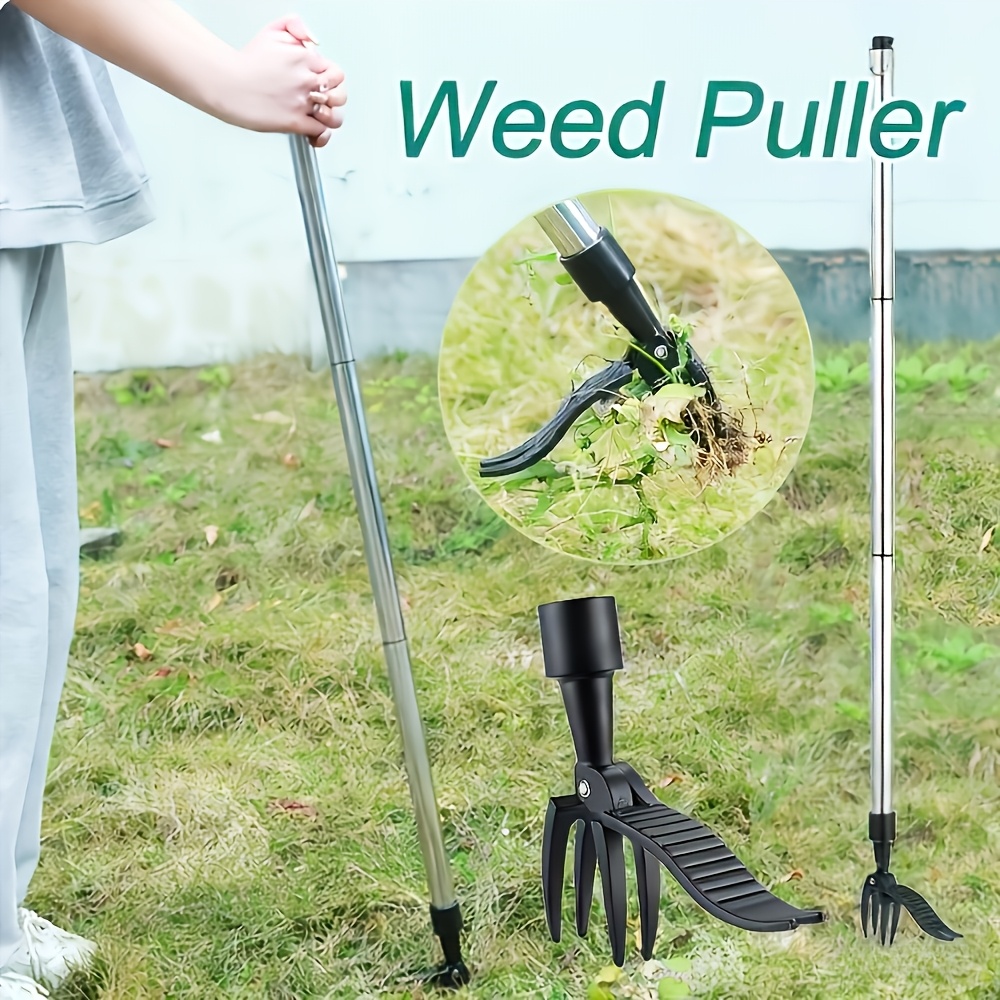 أداة إزالة الأعشاب الضارة العم - مراجعة Gardening Tools For Weeds وسعره