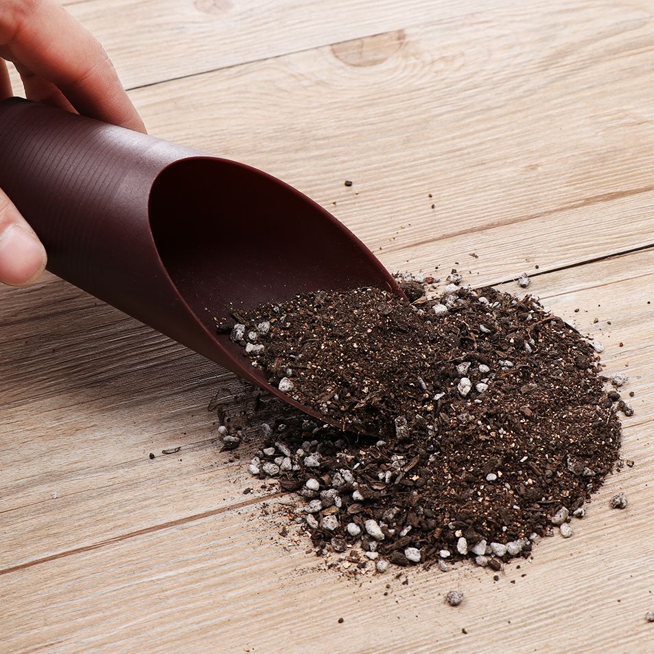 1 قطعة البلاستيك التربة مجرفة  - مراجعة Gardening Tools Spade وسعره